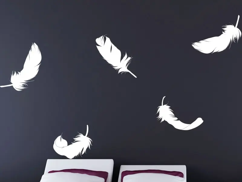 Sticker mural Pack Déco - Tendance Pack Plumes résultat en situation gros plan Sticker Pack Plumes