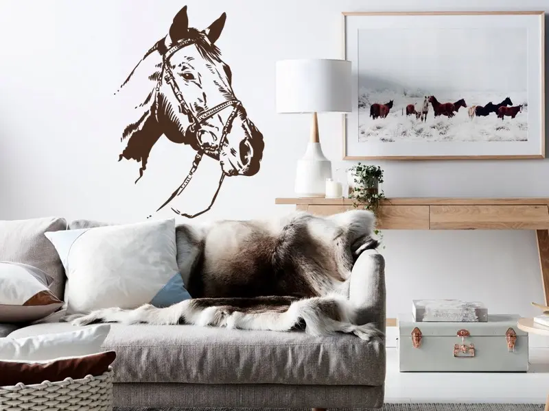Sticker mural Sur la Terre Tête de Cheval résultat en situation Sticker Tête de Cheval