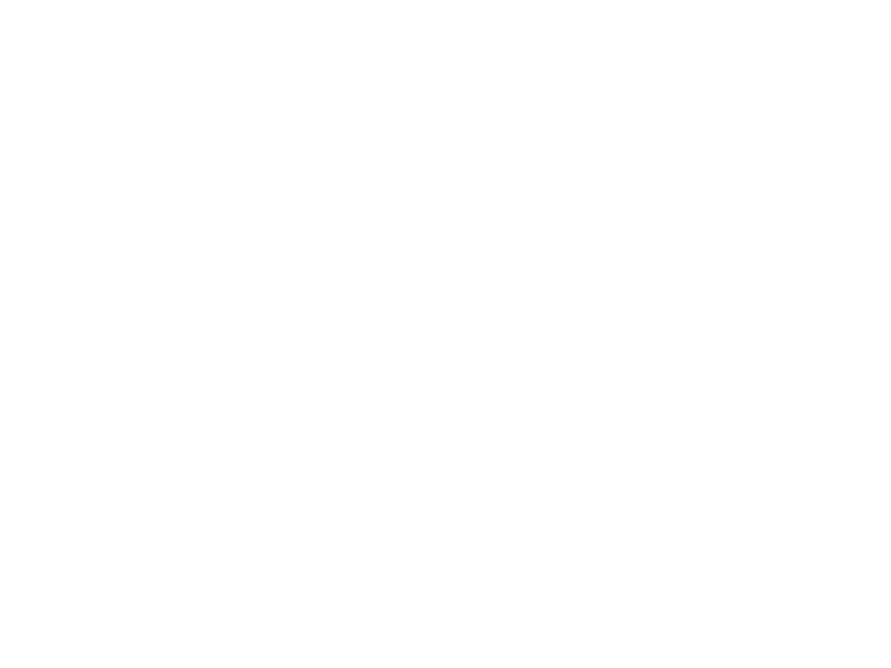 Autocolante Pranchas de surf