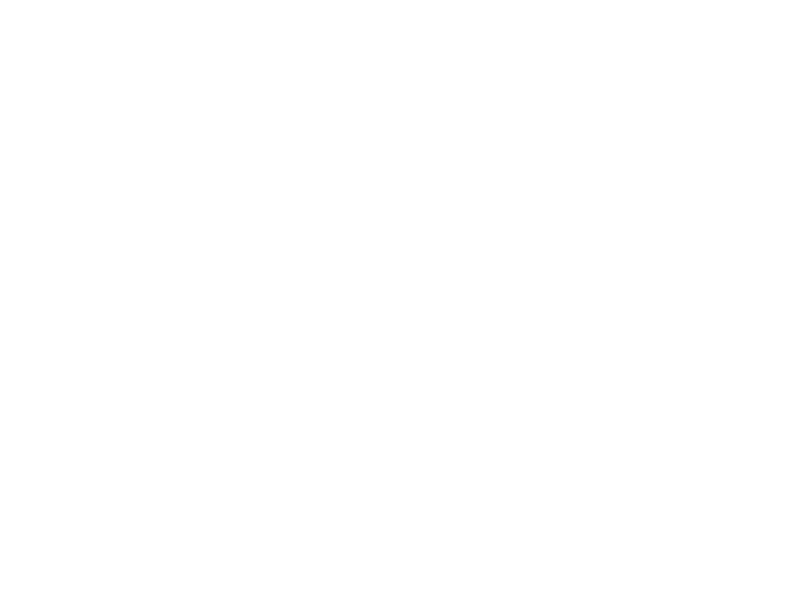 Sticker Renard Boho
