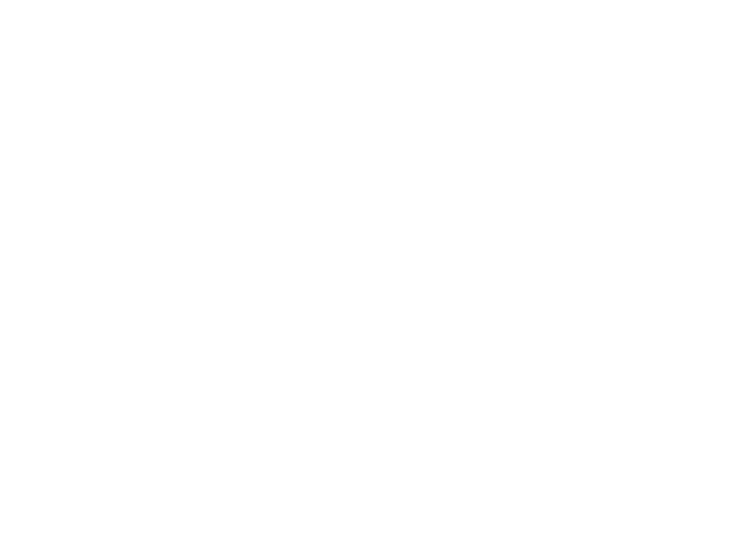 Sticker Soldes Fleurs 2