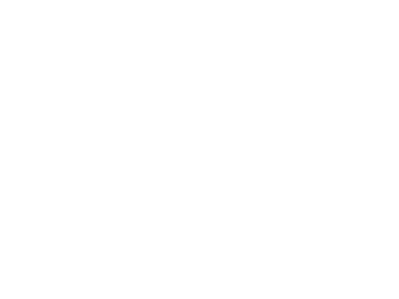 Sticker Fleur de Lotus 3