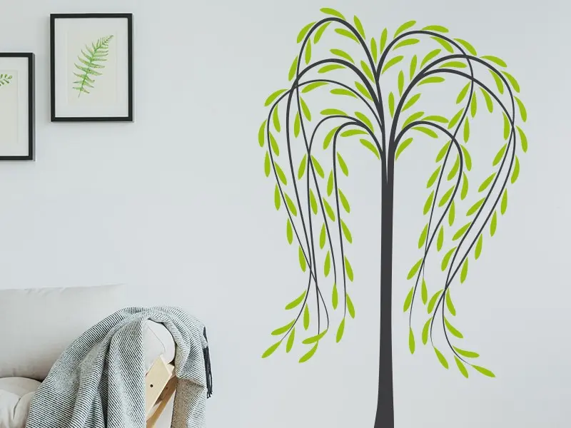 Sticker mural Stickers Arbres Arbre Pleureur résultat en situation gros plan Sticker Arbre Pleureur