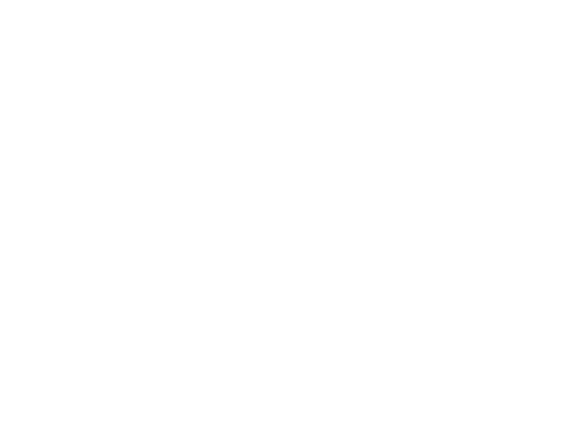 Sticker Petite Tortue