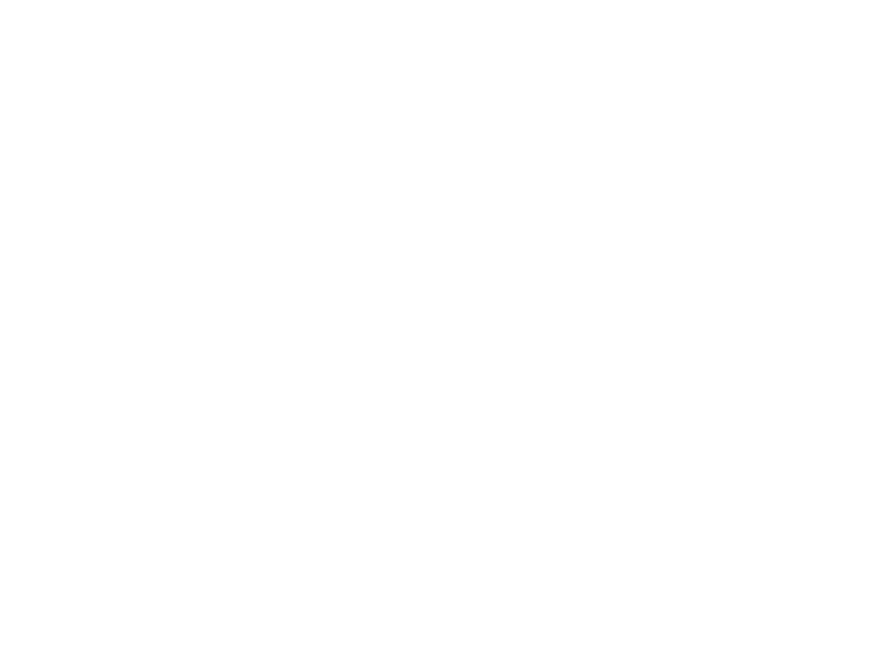 Sticker Mousqueton Alpiniste
