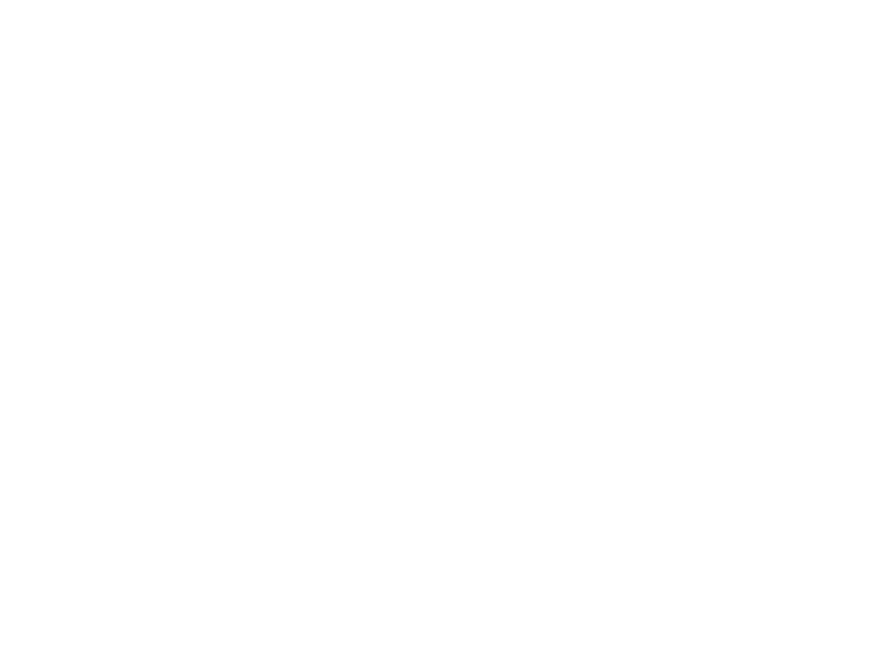 Sticker Arbre Oiseaux 3