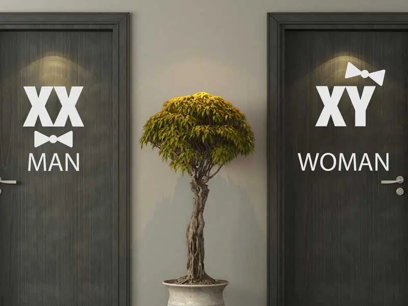 Autocolante WC Man & Women Cromossomos résultat en situation gros plan Autocolante WC Man & Women Cromossomos