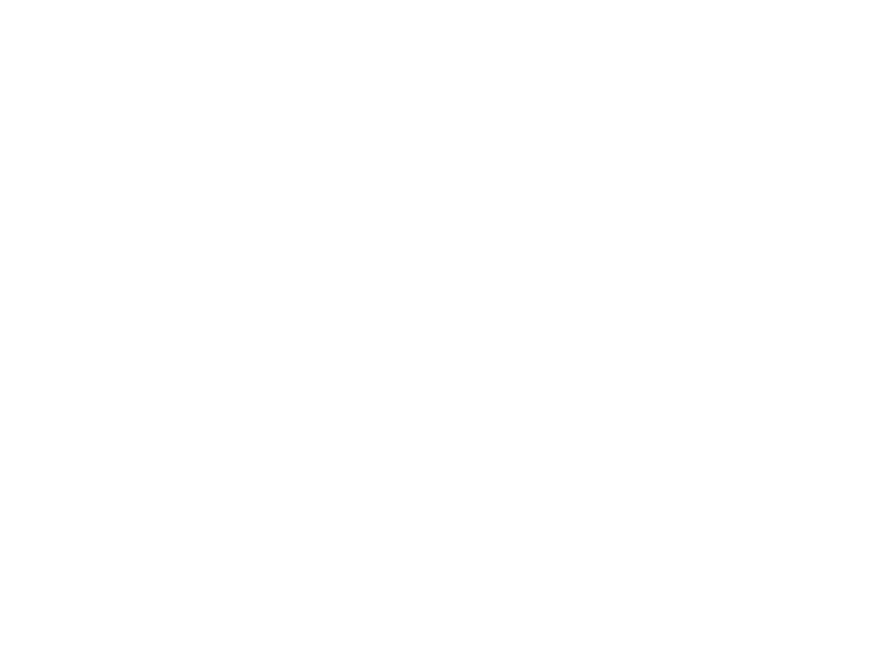Sticker Summer Wild and Free