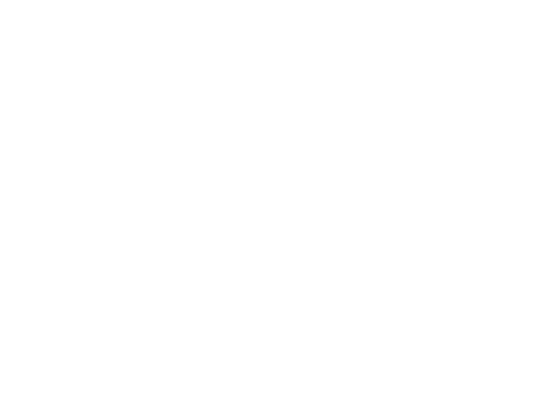 Sticker Arbre Cerisier oiseaux