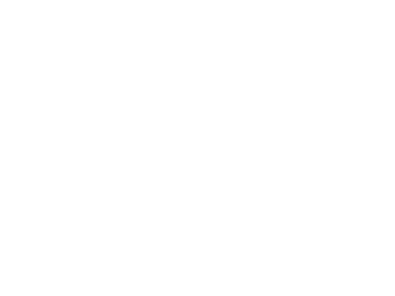 Sticker Petits animaux coquins