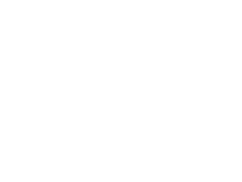 Sticker Ski
