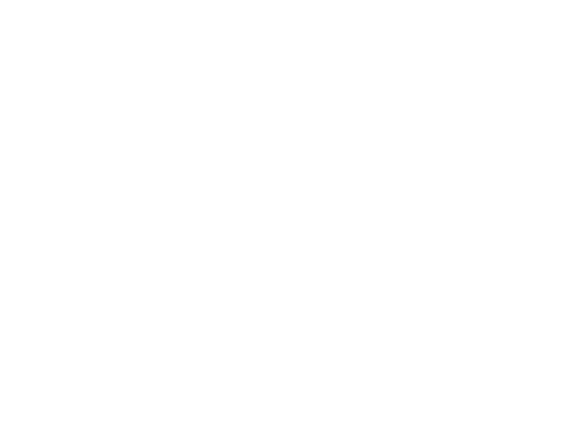 Sticker Indienne
