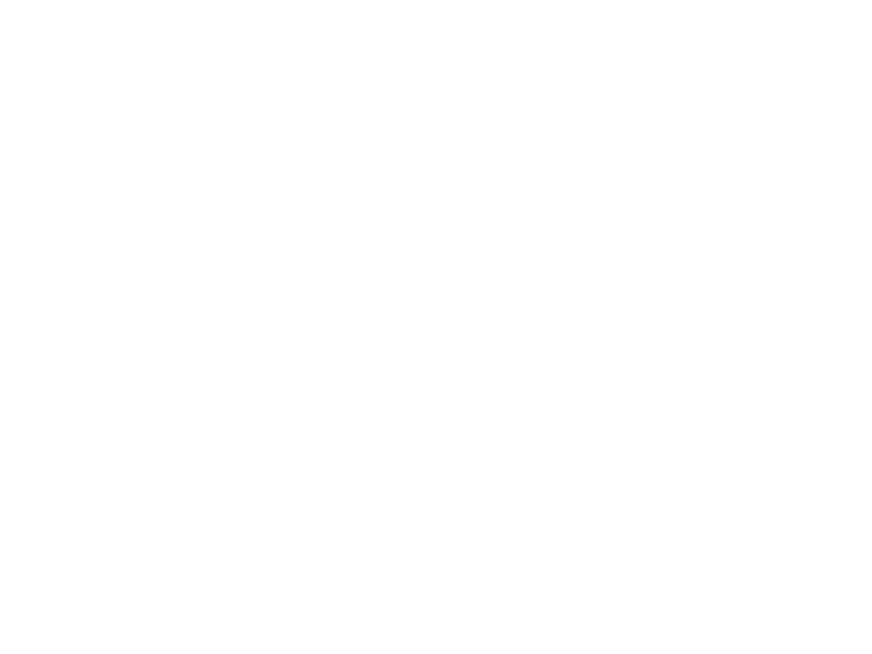Sticker Ourson 5