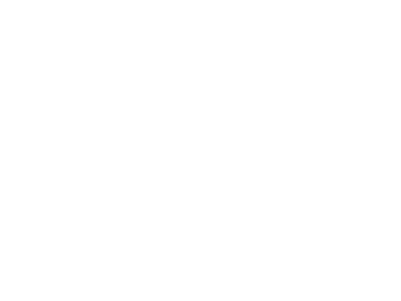 Autocolante Pack 3 dinossauros Crianças