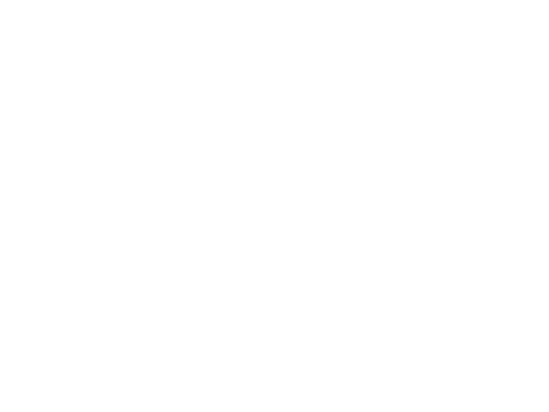 Autocolante Cavalo