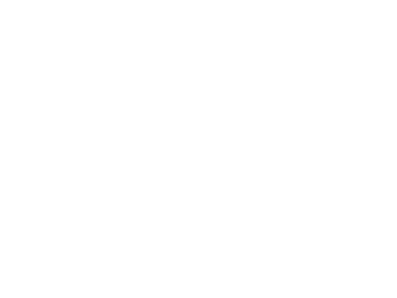Autocolante Árvores Bétulas 3