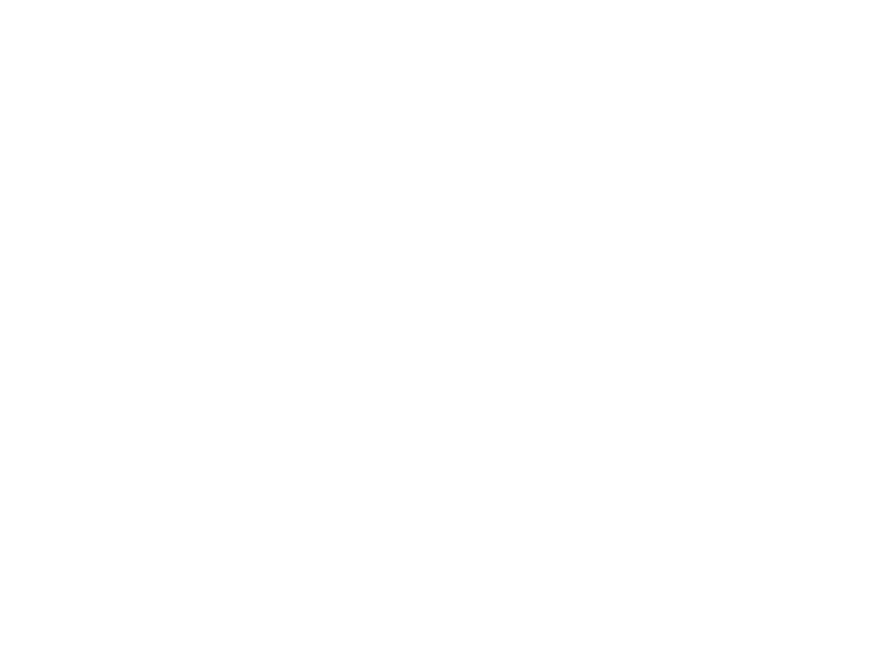 Autocolante Guitarra Clàssica