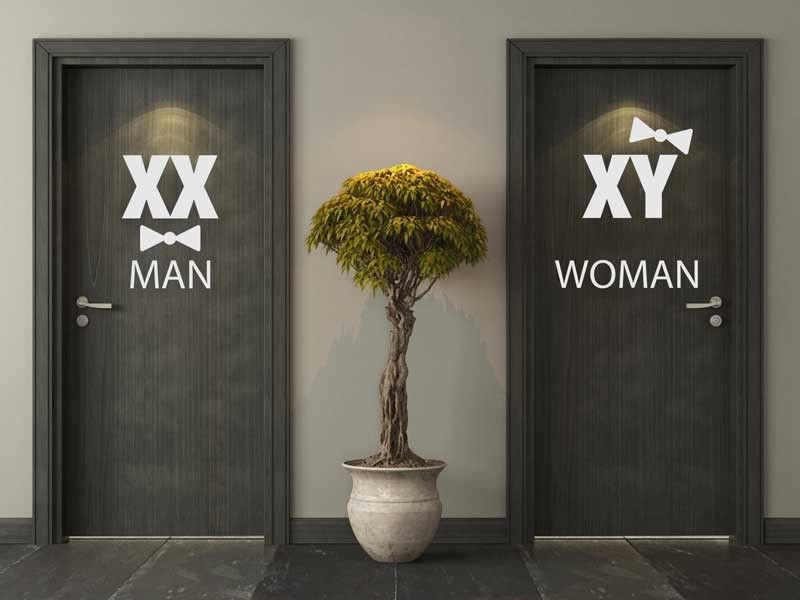 Autocolante de parede WC Man & Women Cromossomos