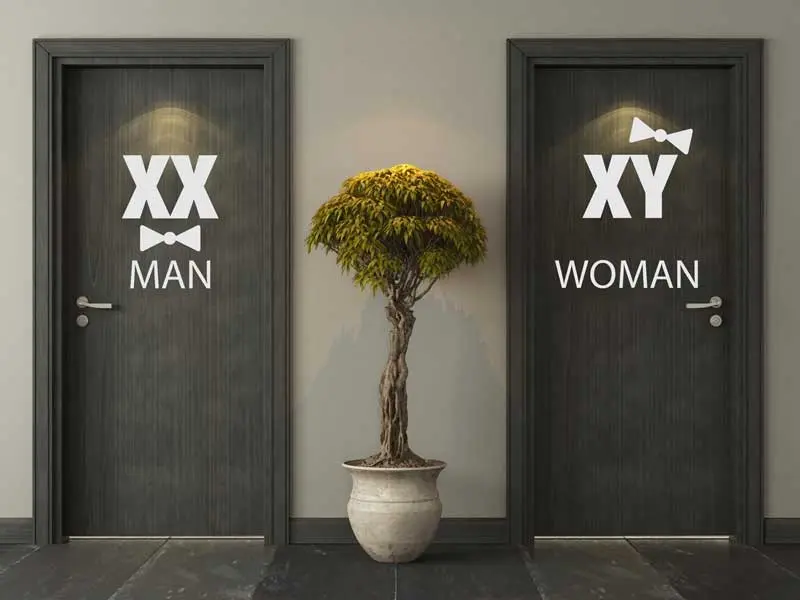Sticker mural WC Man & Women Chromosomes résultat en situation