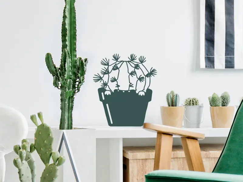 Sticker mural Cactus Cactus Pas Content résultat en situation Sticker Cactus Pas Content