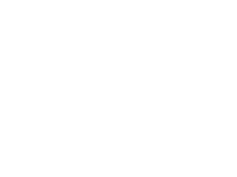 Sticker Tête de Cheval