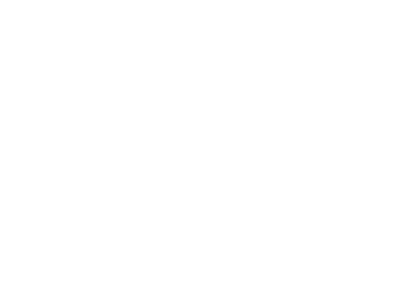 Sticker Fleurs de Lotus