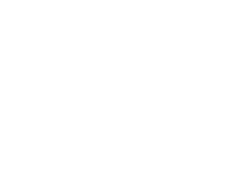 Sticker Soldes Fleurs