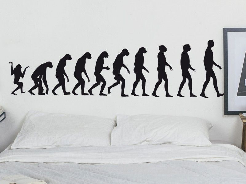 Sticker Evolution Singe / Homme