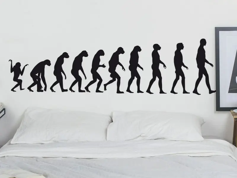 Sticker mural Vintage - Urbain Evolution Singe / Homme résultat en situation gros plan Sticker Evolution Singe / Homme