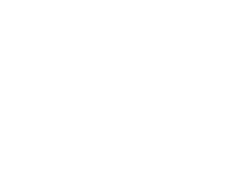 Sticker Arbres Bouleaux 5