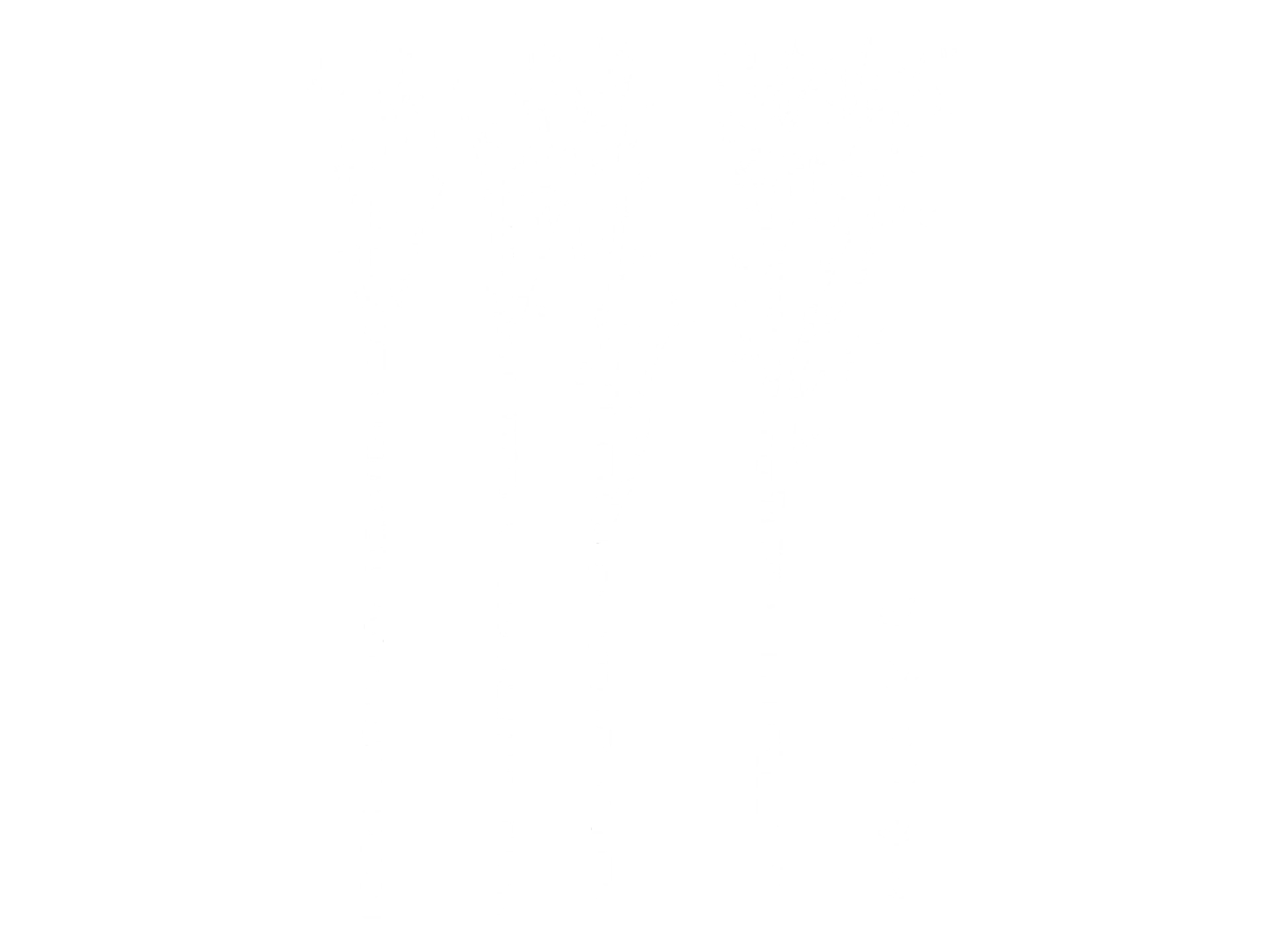 Sticker Arbres Bouleaux 2
