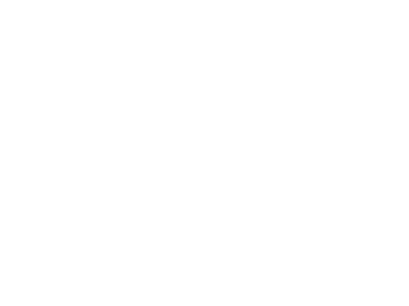 Sticker Frise Orientale