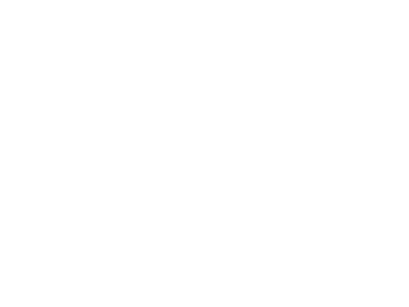 Autocolante Gato 4