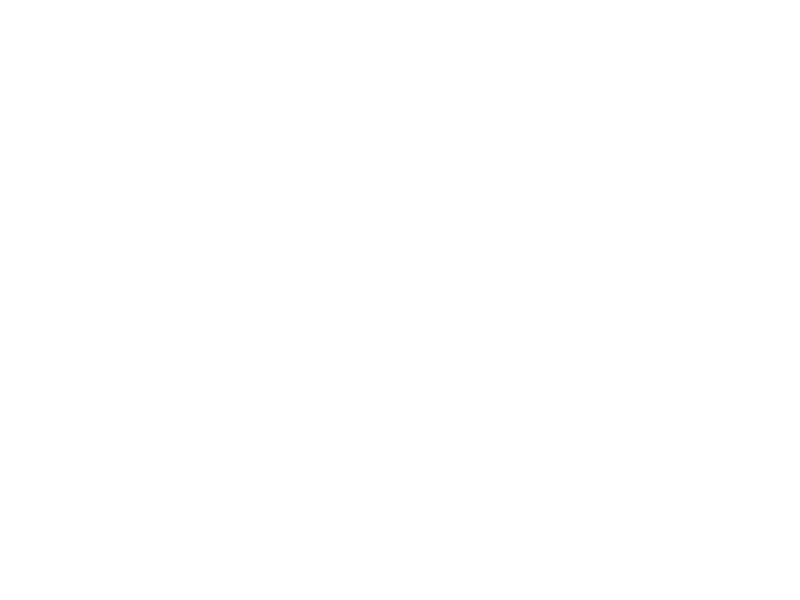 Sticker Orchidée 2