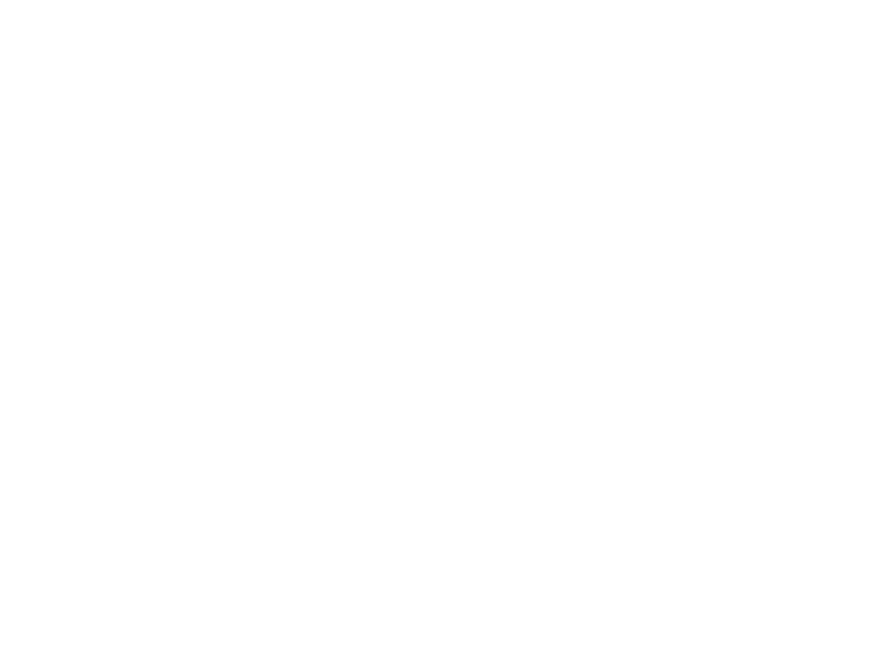 Sticker Arbre et Oiseaux Abstraits